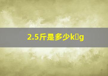 2.5斤是多少k g